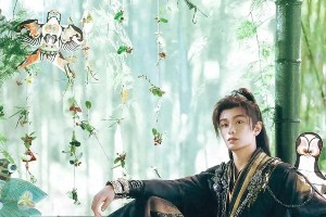 精选图片集锦：视觉盛宴