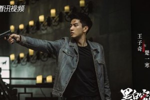 《黑白密码》主演阵容公布，王子奇苏晓彤再合作