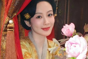 杨紫工作室：流量与演技并重的艺术探索