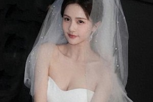 精彩图片集锦：视觉盛宴一览
