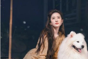 刘亦菲《黄玫瑰的故事》首播破纪录，演技颜值双在线