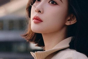 多图展示：精选图片集锦